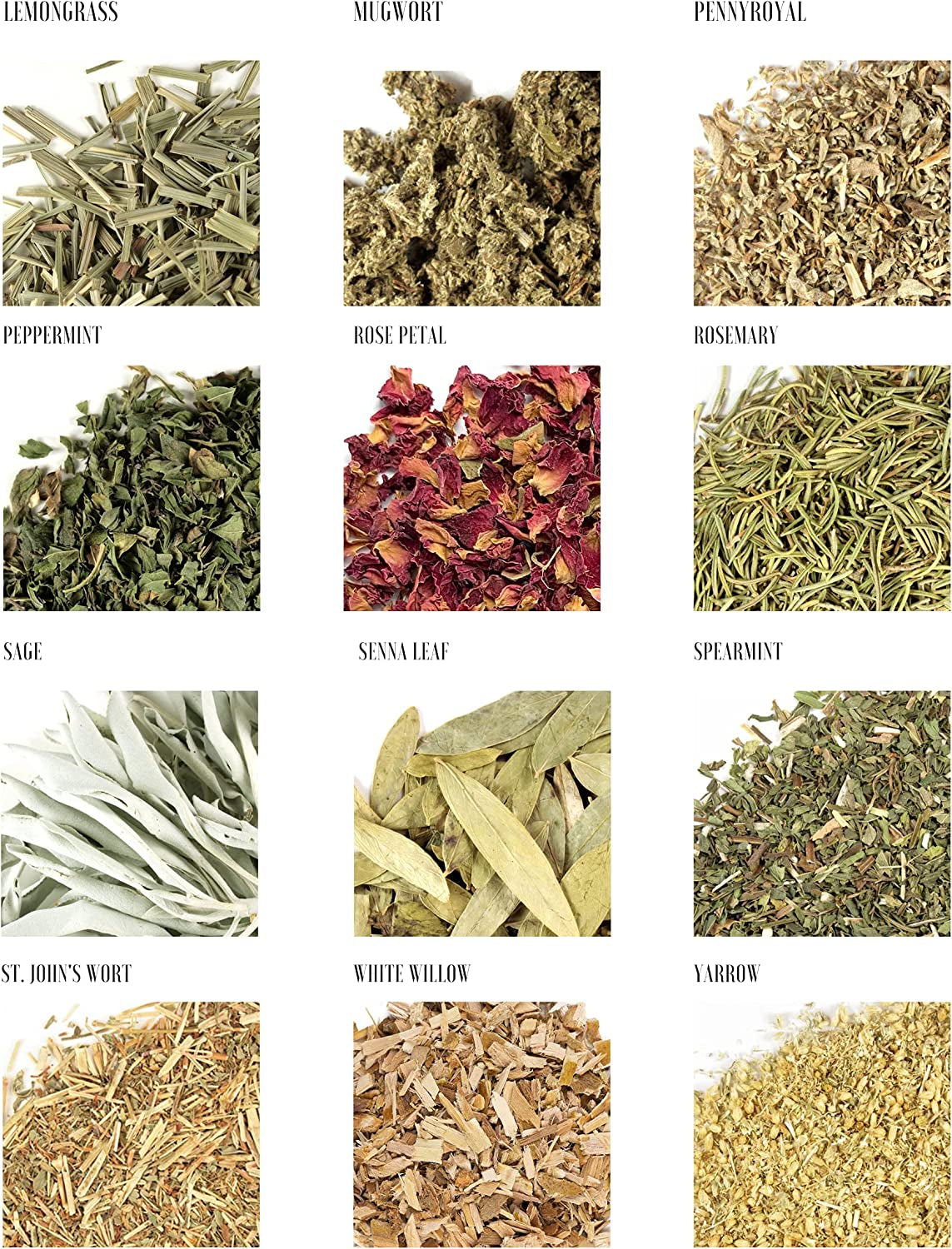 Spell Herbs for Witchcraft - 24 Bottles of Magical Herbal Supplies for Pagan, Wiccan, Witch Spells & Ritual (15ML Paper Box)