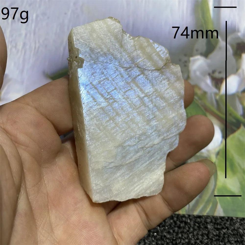 Sce8577001dda40639a74d865359313f7u