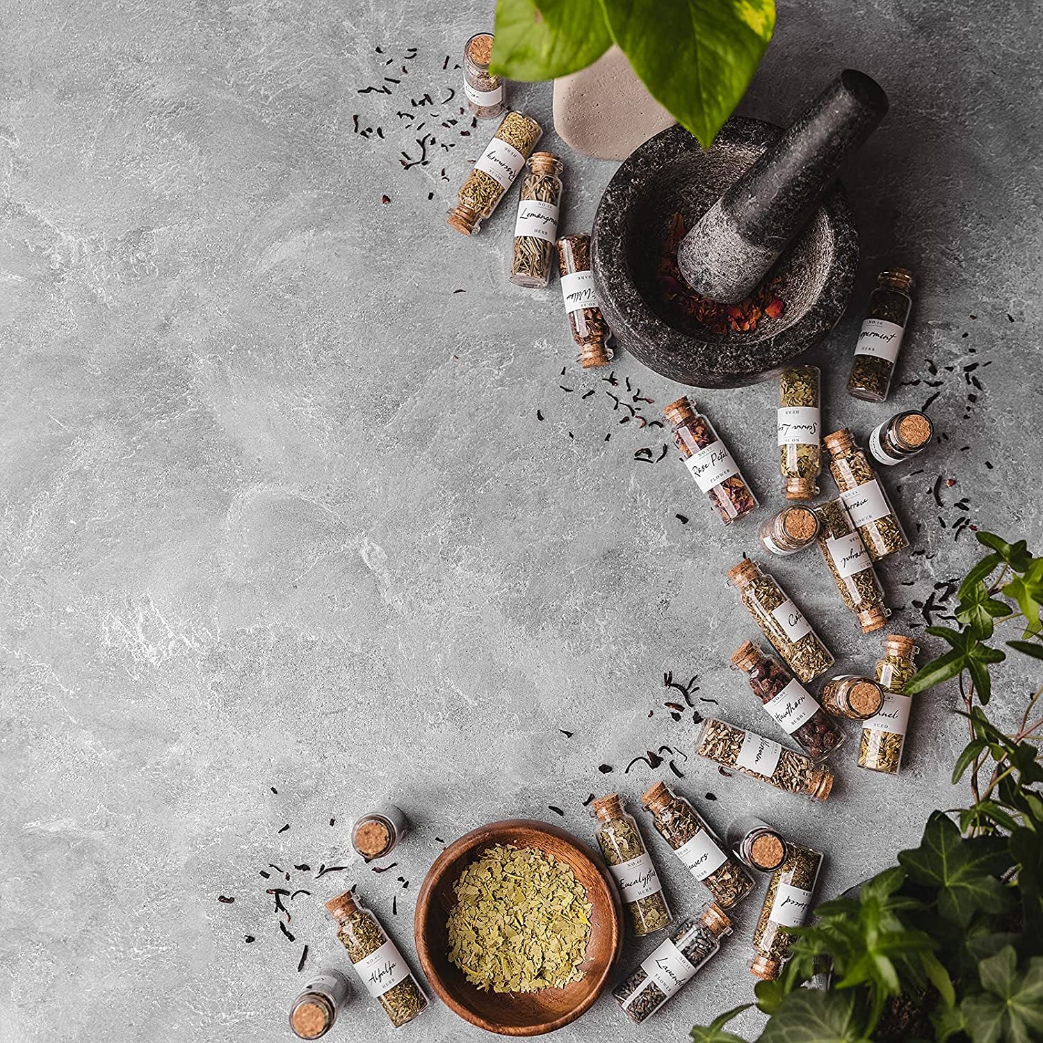 Spell Herbs for Witchcraft - 24 Bottles of Magical Herbal Supplies for Pagan, Wiccan, Witch Spells & Ritual (15ML Paper Box)