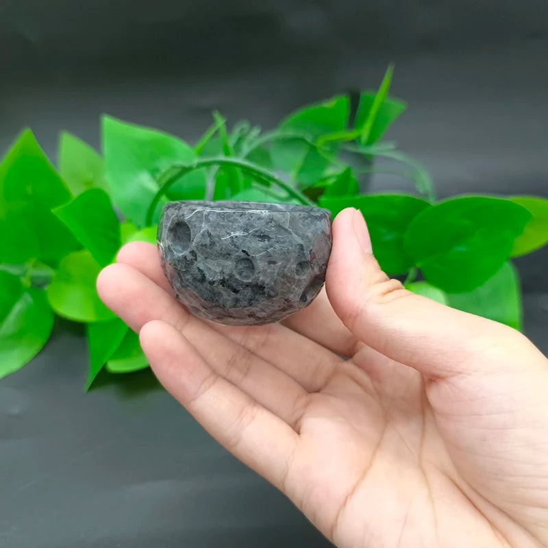 S125abab541324165b4b44f823e6e1336W