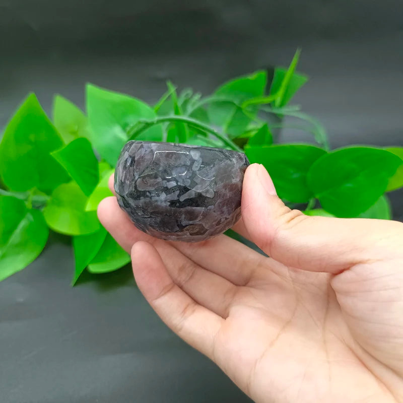 S1bc2ba2329b34dd2a31a4f0412c5cc31w