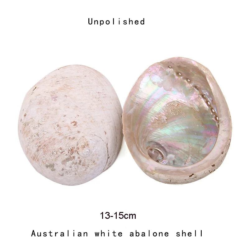 S456ac4fb450b4eb4bf85bf52364e6ae3Z