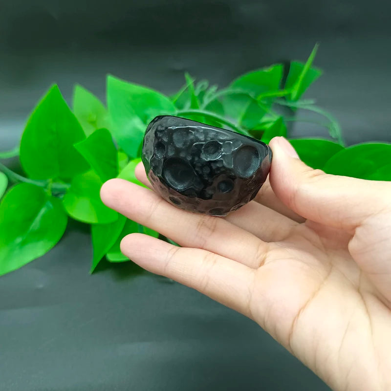 S55c780ff374c4c55b2f72f39f74978db4