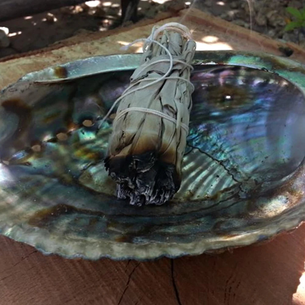 S9675a30bb041451ca31d7f3e34bf9678N