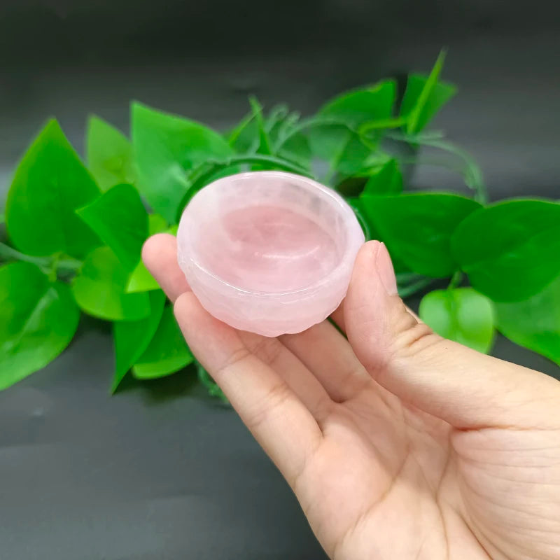 Scc325eca7da7487182bf287fe25724dcH