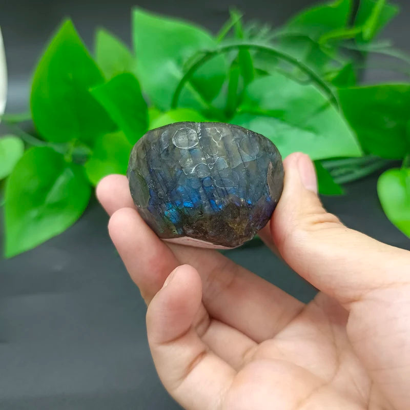 Sfa2eb2f1cd2e45e9af395c7af8ce7174p