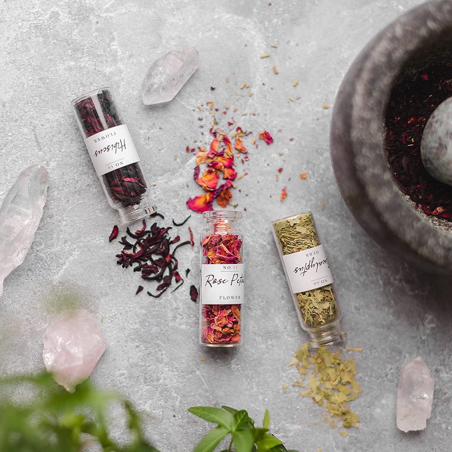 Spell Herbs for Witchcraft - 24 Bottles of Magical Herbal Supplies for Pagan, Wiccan, Witch Spells & Ritual (15ML Paper Box)