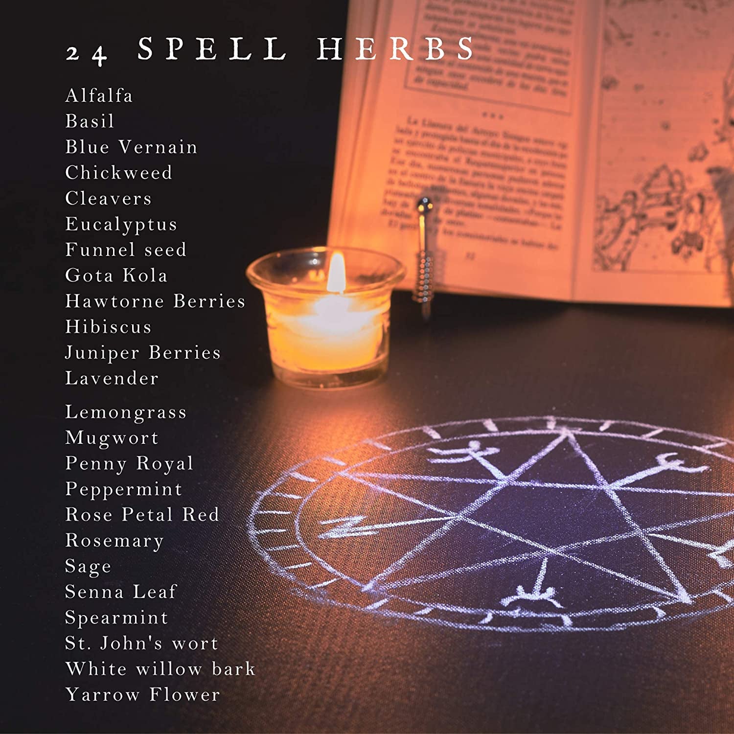 Spell Herbs for Witchcraft - 24 Bottles of Magical Herbal Supplies for Pagan, Wiccan, Witch Spells & Ritual (15ML Paper Box)